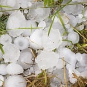 Hundreds of insurance claims to come after hail storm damage rips through Georgetown
