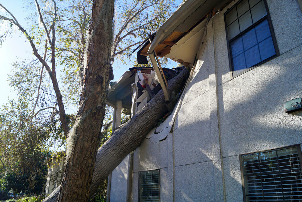 wind building loss